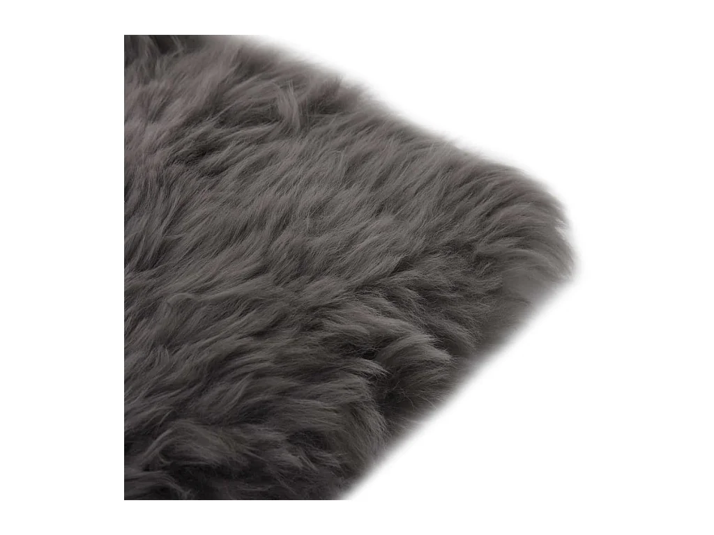 Lot de 2 coussins grise 40 x 40 x 3 cm DEC021288