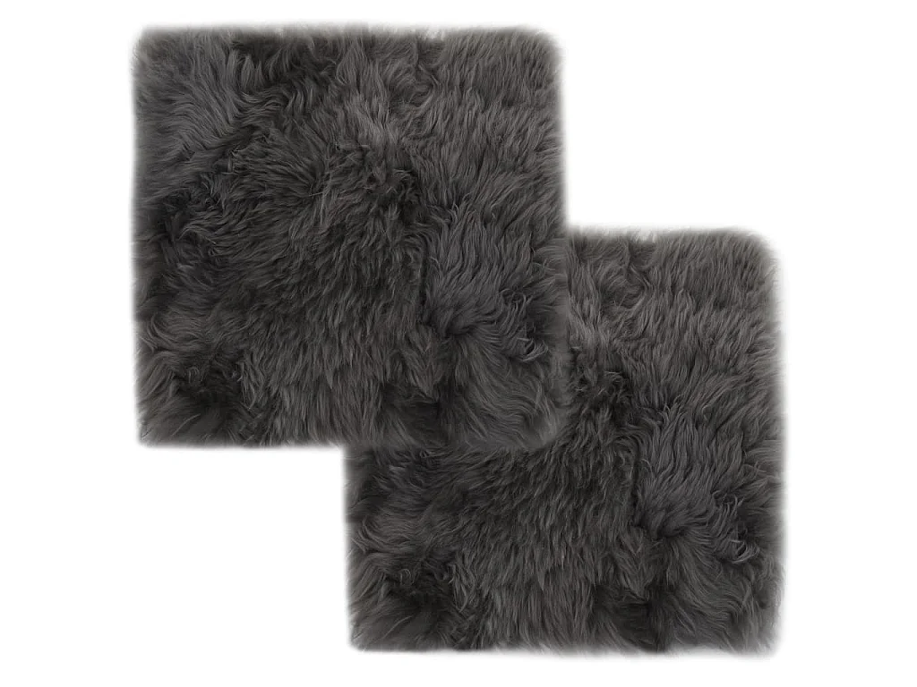 Lot de 2 coussins grise 40 x 40 x 3 cm DEC021288