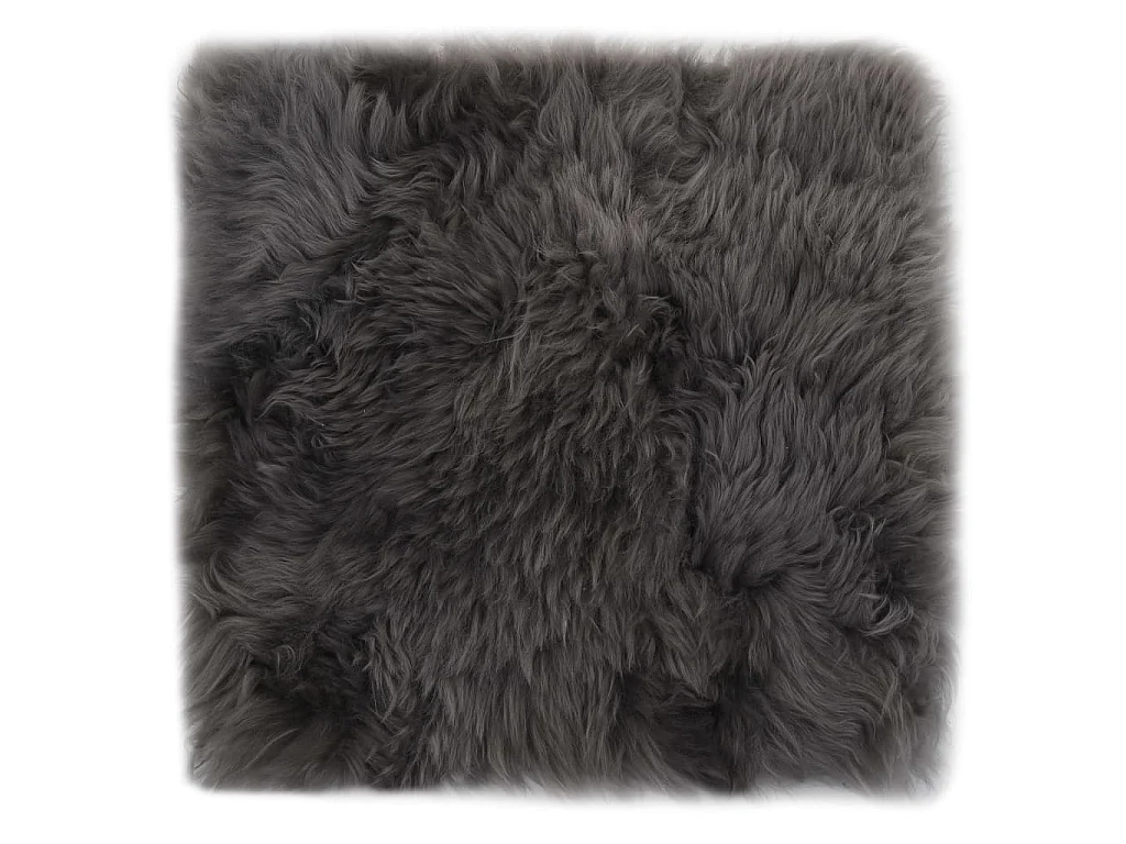 Lot de 2 coussins grise 40 x 40 x 3 cm DEC021288