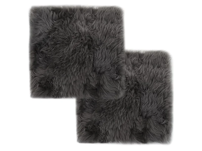 Lot de 2 coussins grise 40 x 40 x 3 cm DEC021288