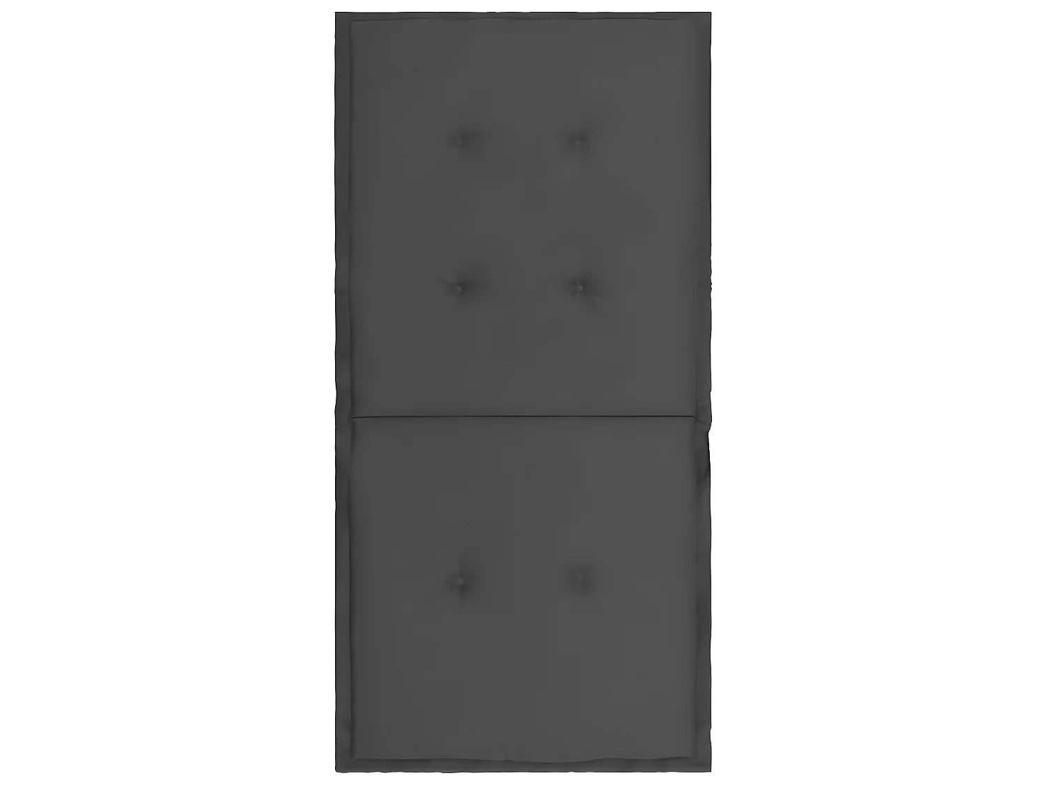 lot de 2 coussins 100 x 50 x 3 cm DEC021676