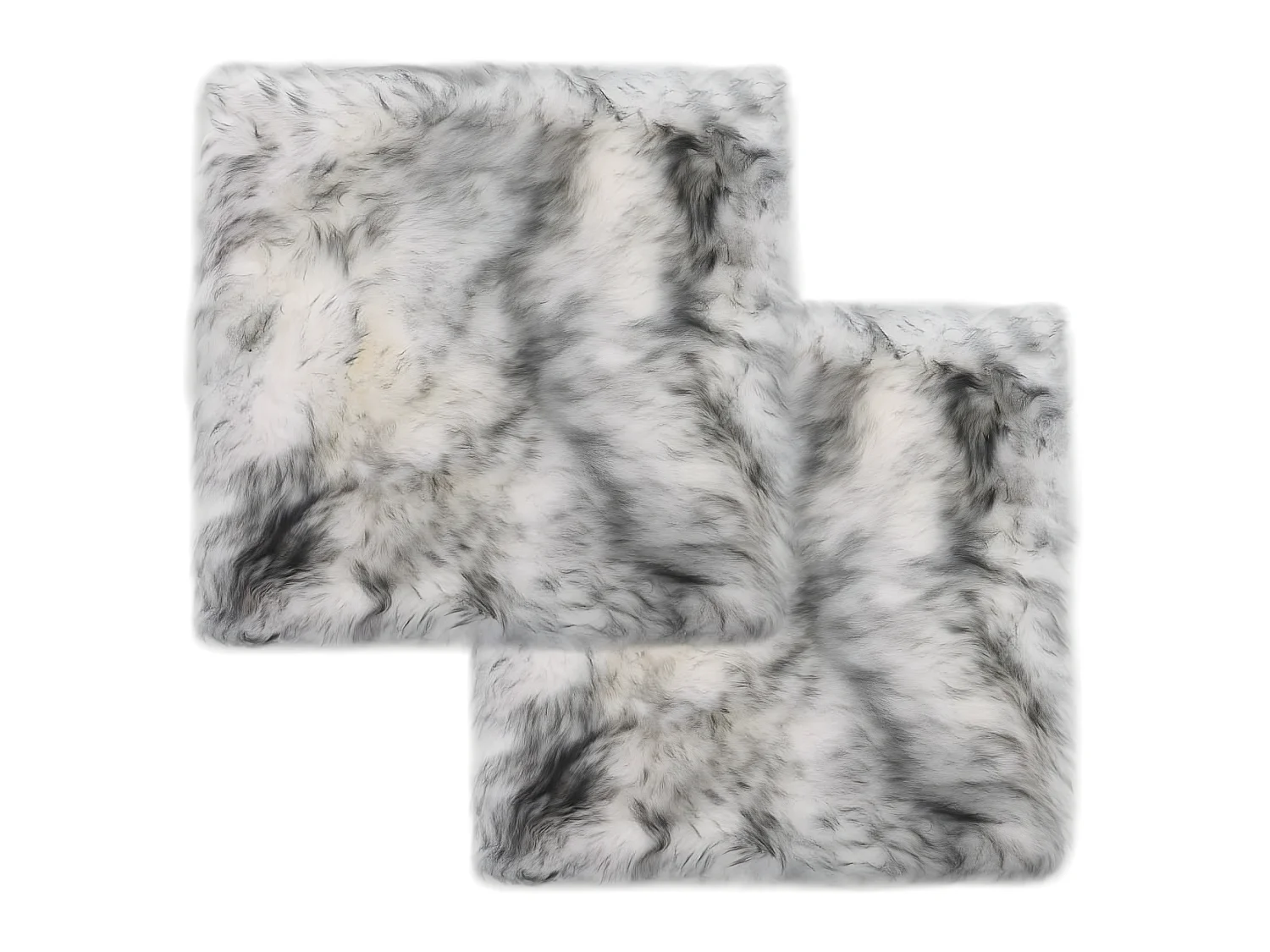 Lot de 2 coussins grise 40 x 40 x 3 cm DEC021287