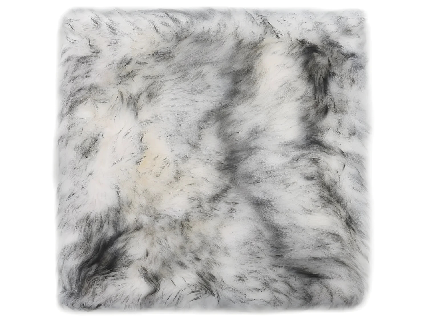 Lot de 2 coussins grise 40 x 40 x 3 cm DEC021287