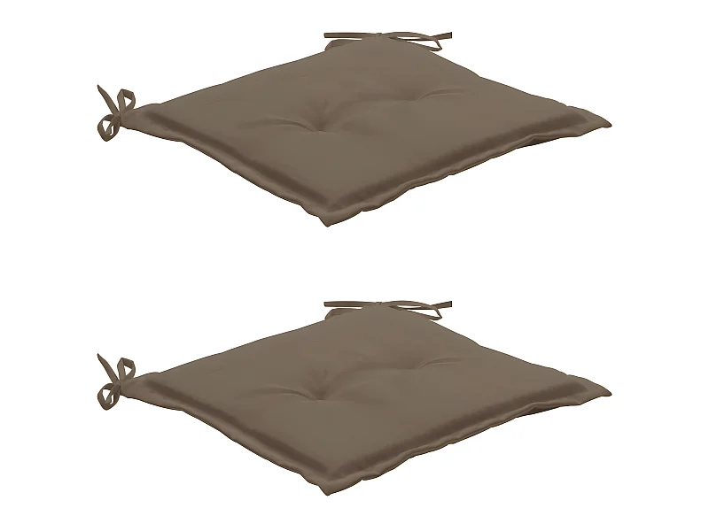 Lot de 2 coussins 50 x 50 x 3 cm DEC021732