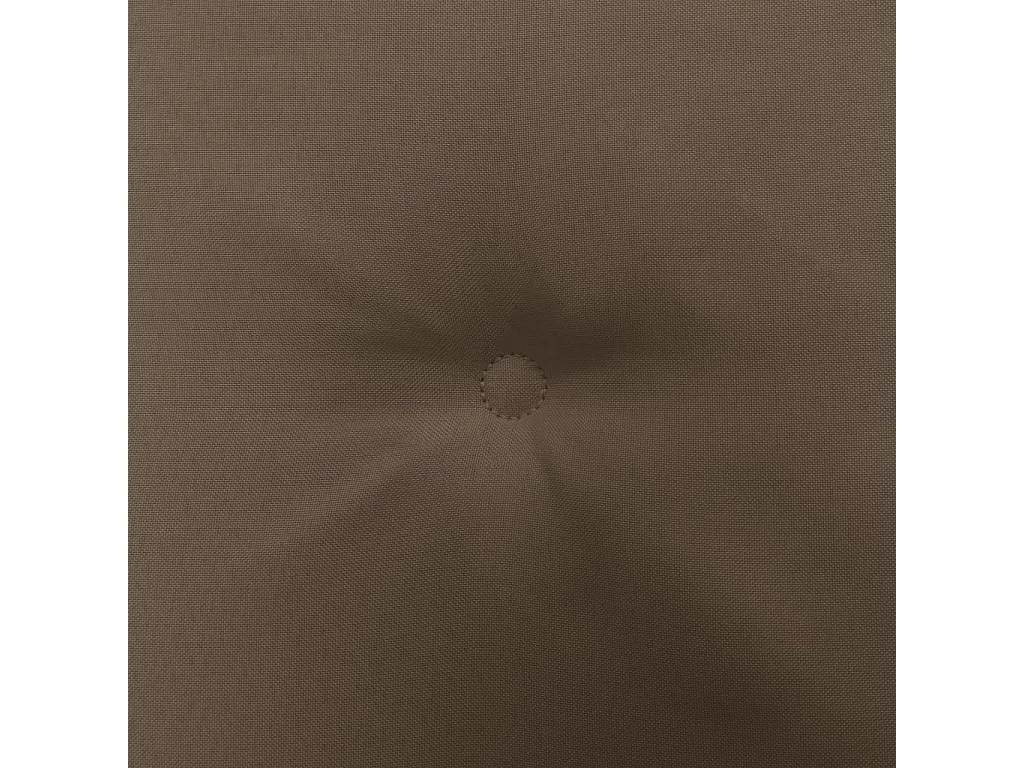 Lot de 2 coussins 50 x 50 x 3 cm DEC021732