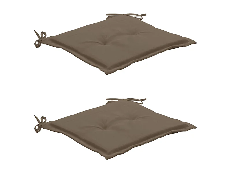 Lot de 2 coussins 50 x 50 x 3 cm DEC021732