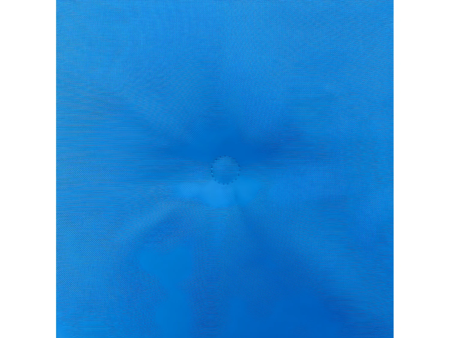 lot de 2 coussins bleue 50 x 50 x 3 cm DEC021729