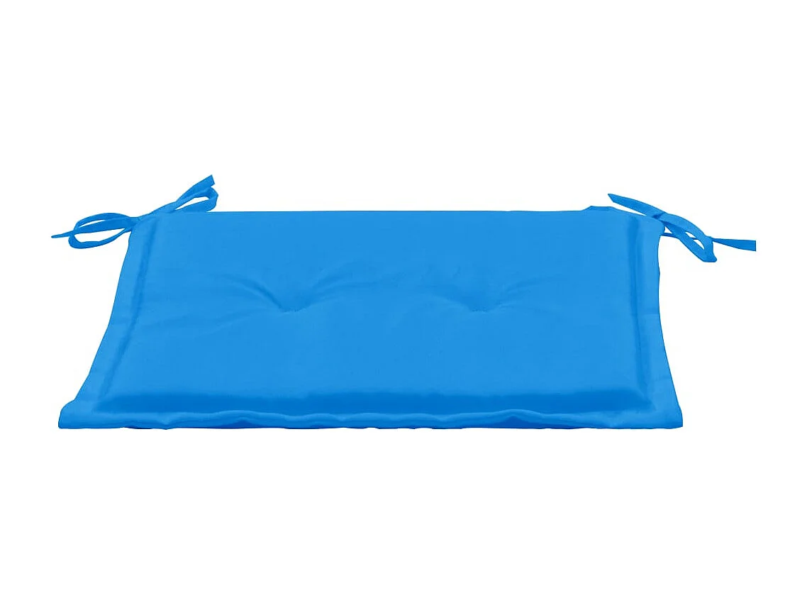 lot de 2 coussins bleue 50 x 50 x 3 cm DEC021729