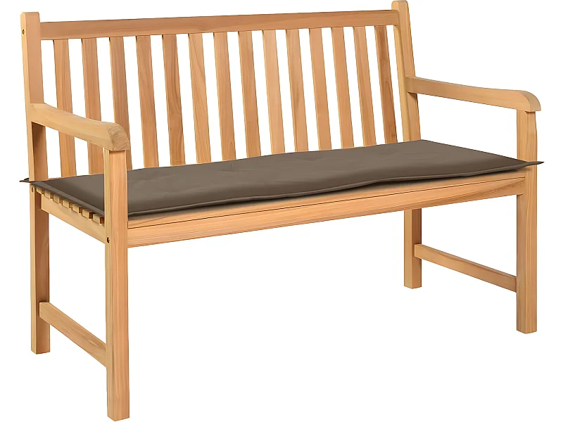 Coussin de banc de 120 x 50 x 3 cm DEC021750