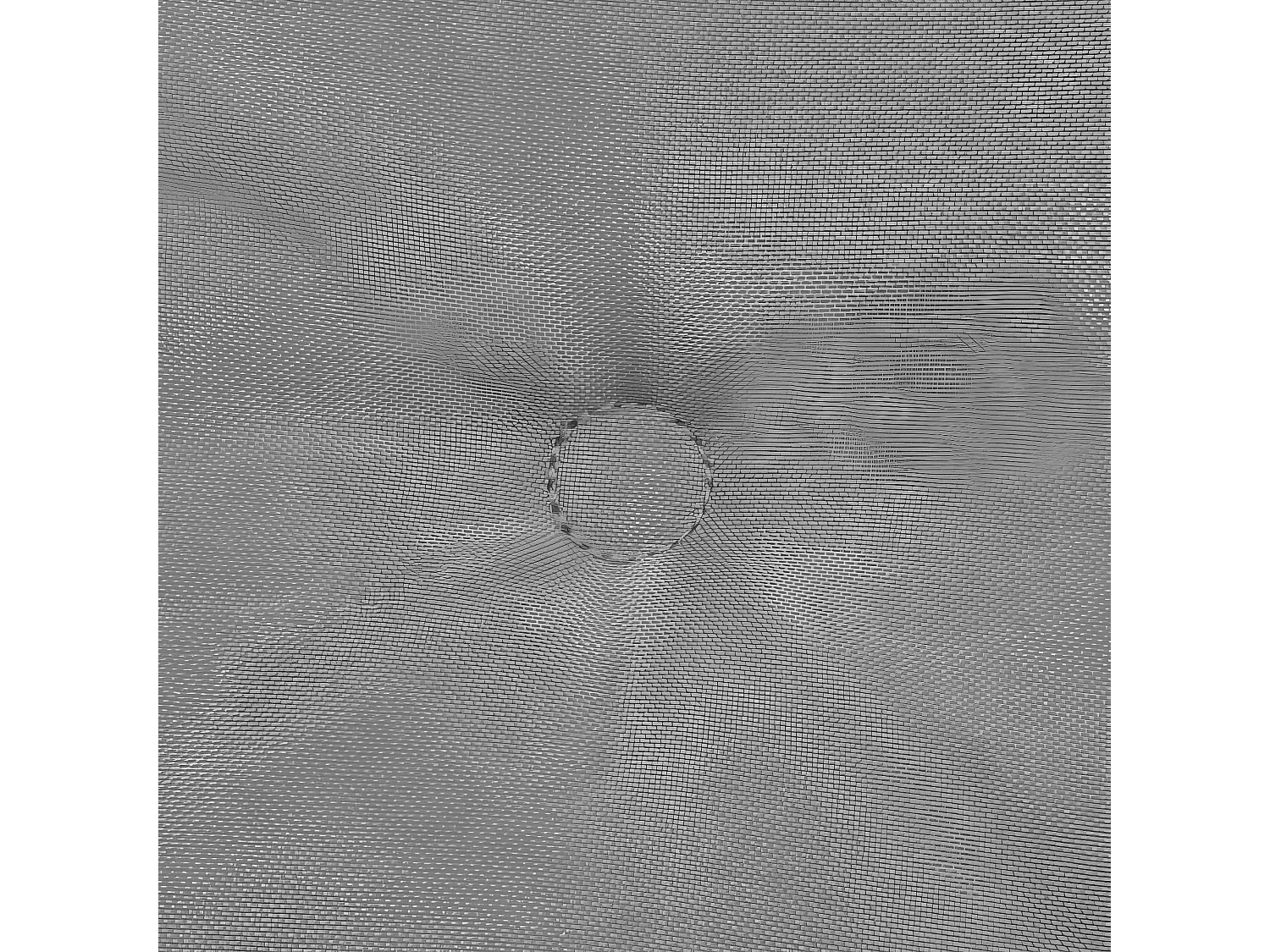 lot de 2 coussins 100 x 50 x 3 cm DEC021678