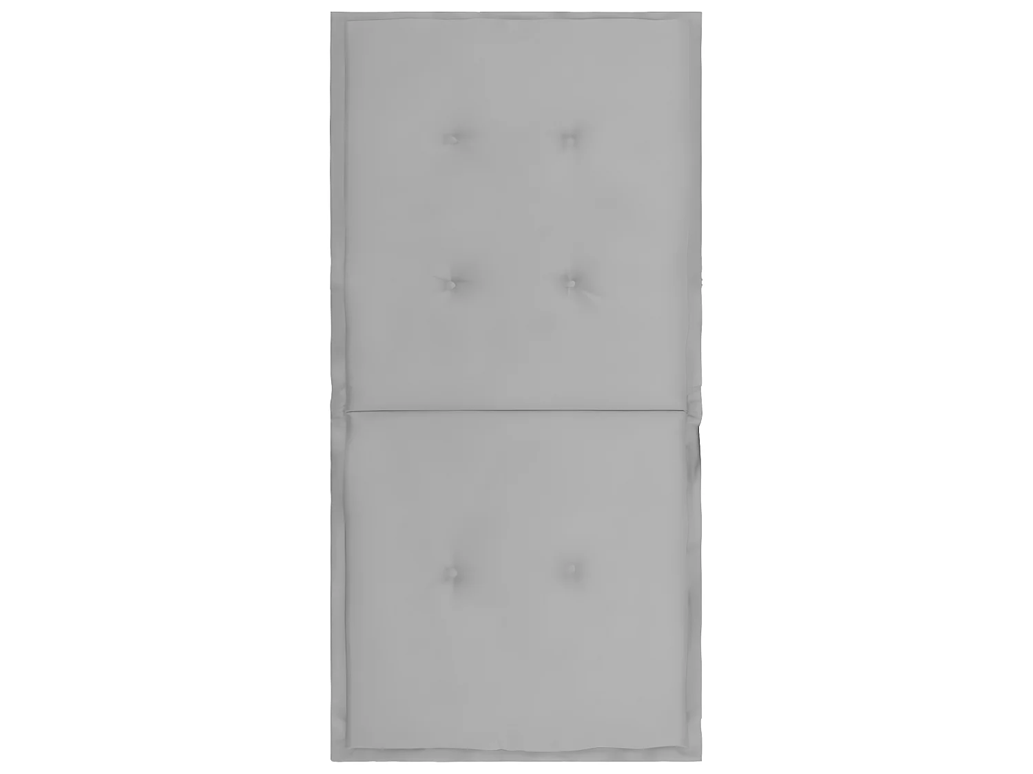 lot de 2 coussins 100 x 50 x 3 cm DEC021678