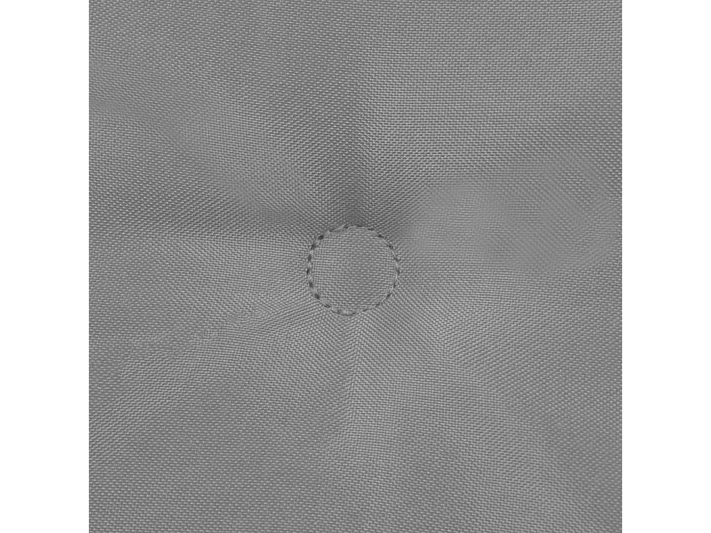 lot de 2 coussins 100 x 50 x 3 cm DEC021678