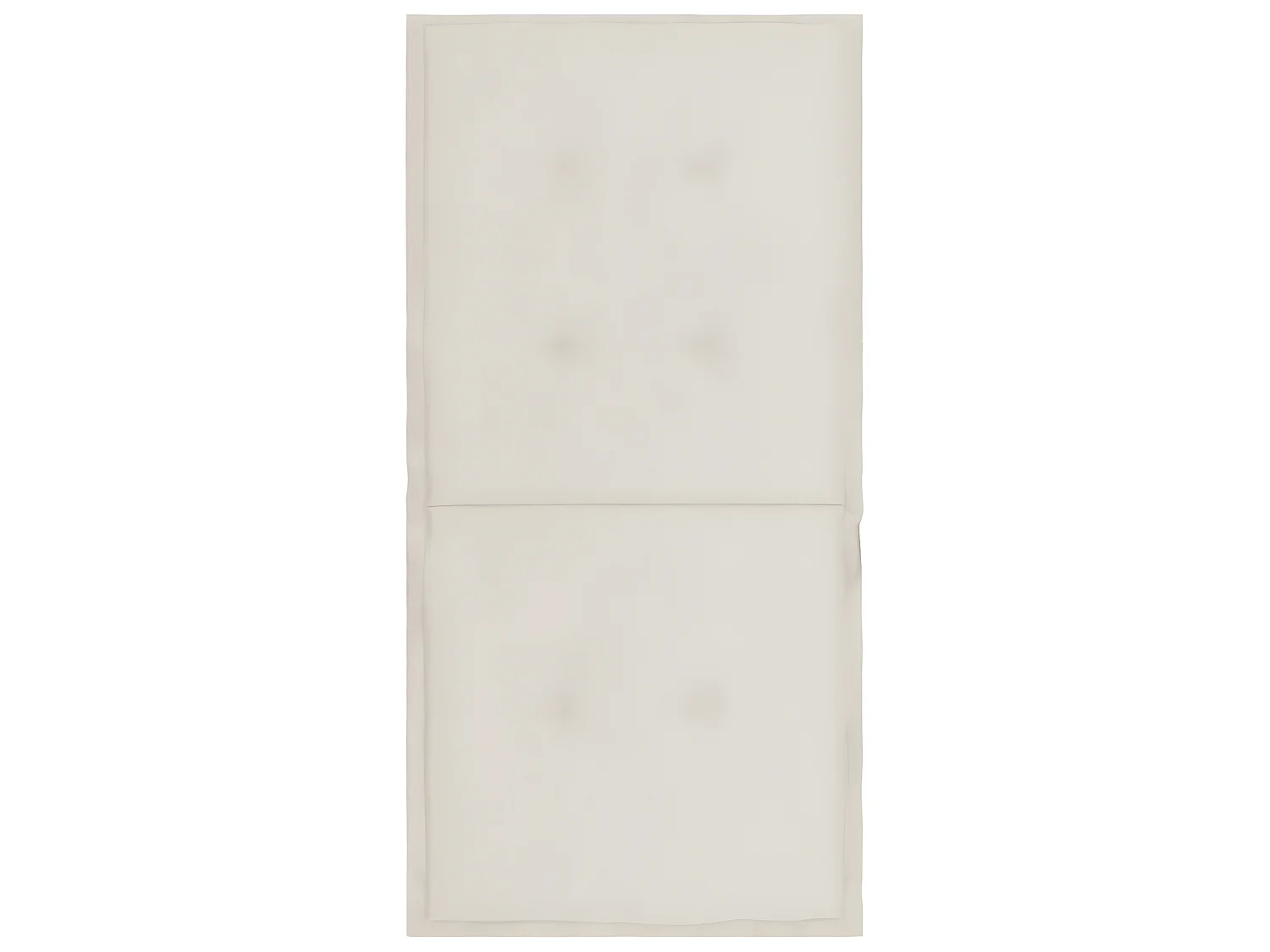 lot de 2 coussins crème 100 x 50 x 3 cm DEC021680