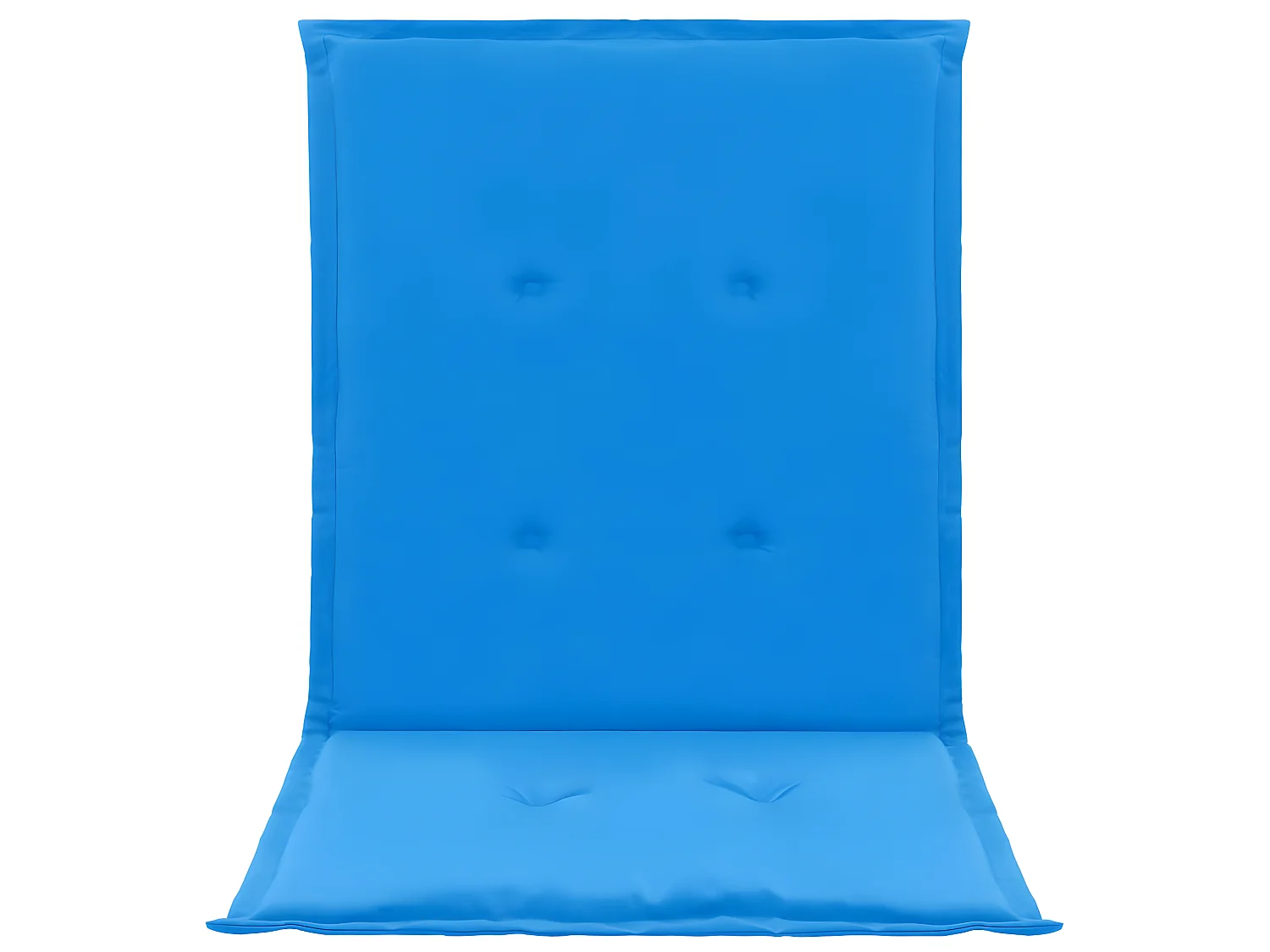 lot de 2 coussins bleue 100 x 50 x 3 cm DEC021682