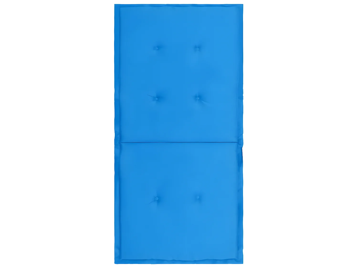lot de 2 coussins bleue 100 x 50 x 3 cm DEC021682