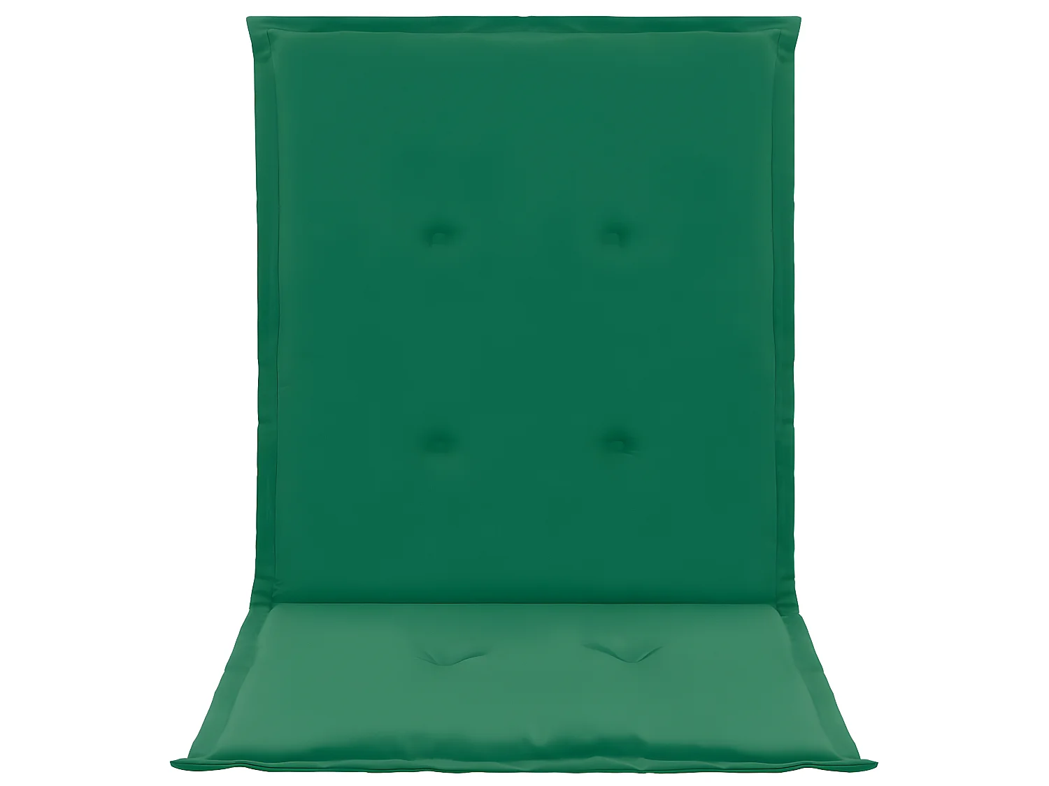 lot de 2 coussins 100 x 50 x 3 cm DEC021684