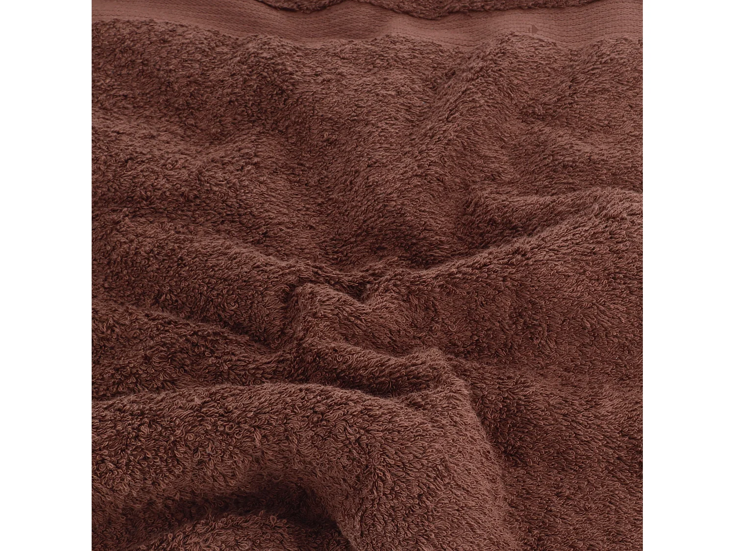 Lot de 2 serviettes invité 30x50 cm LUXOR marron