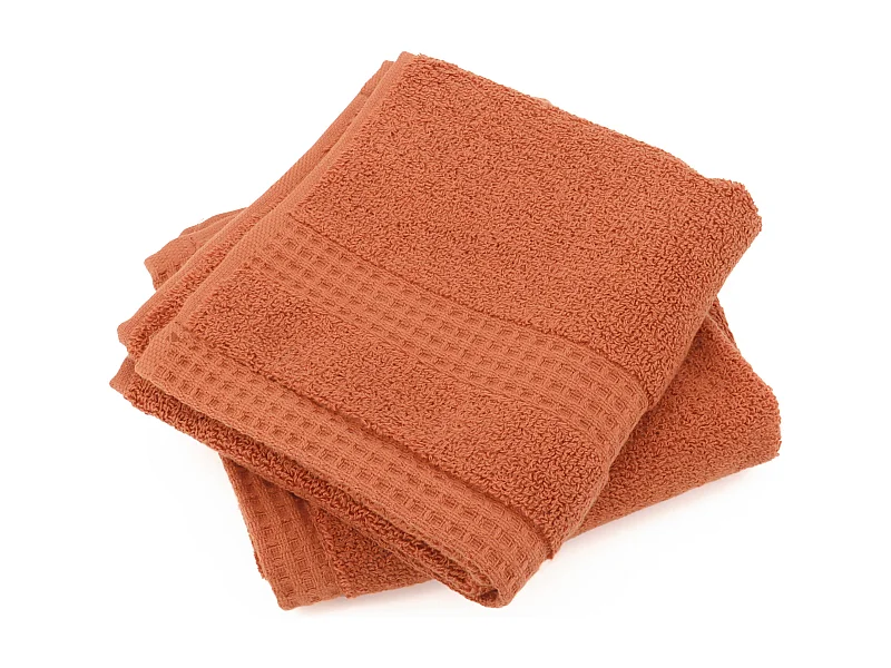 Lot de 2 serviettes invité 33x50 cm NATURAL ocre