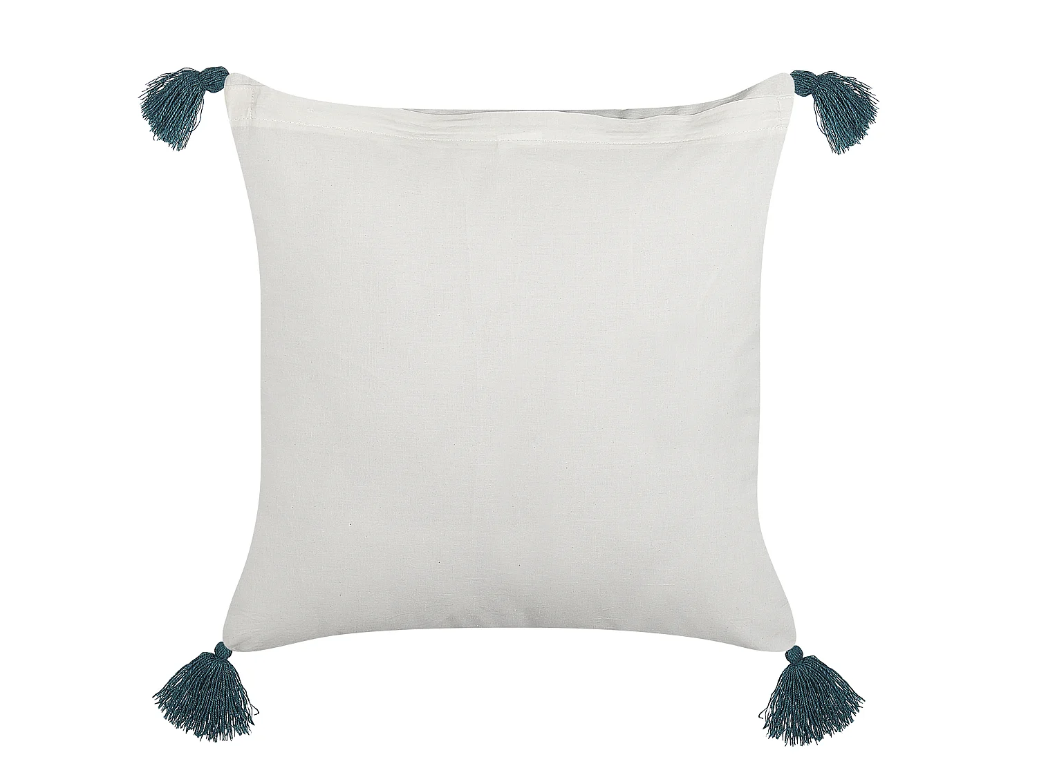 Lot de 2 coussins décoratifs RUMEX Coton 45 x 45 cm Bleu Motif floral