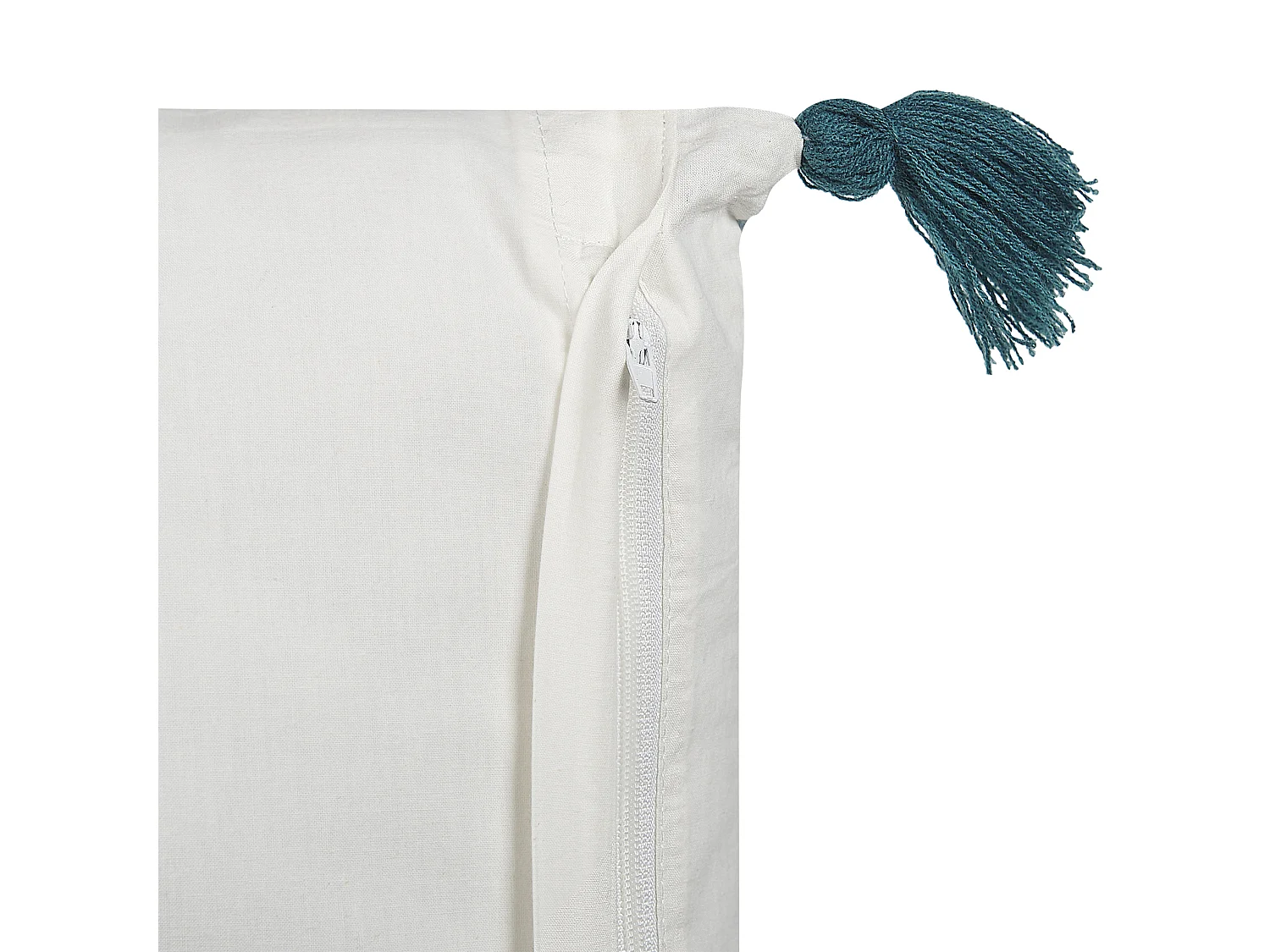 Lot de 2 coussins décoratifs RUMEX Coton 45 x 45 cm Bleu Motif floral