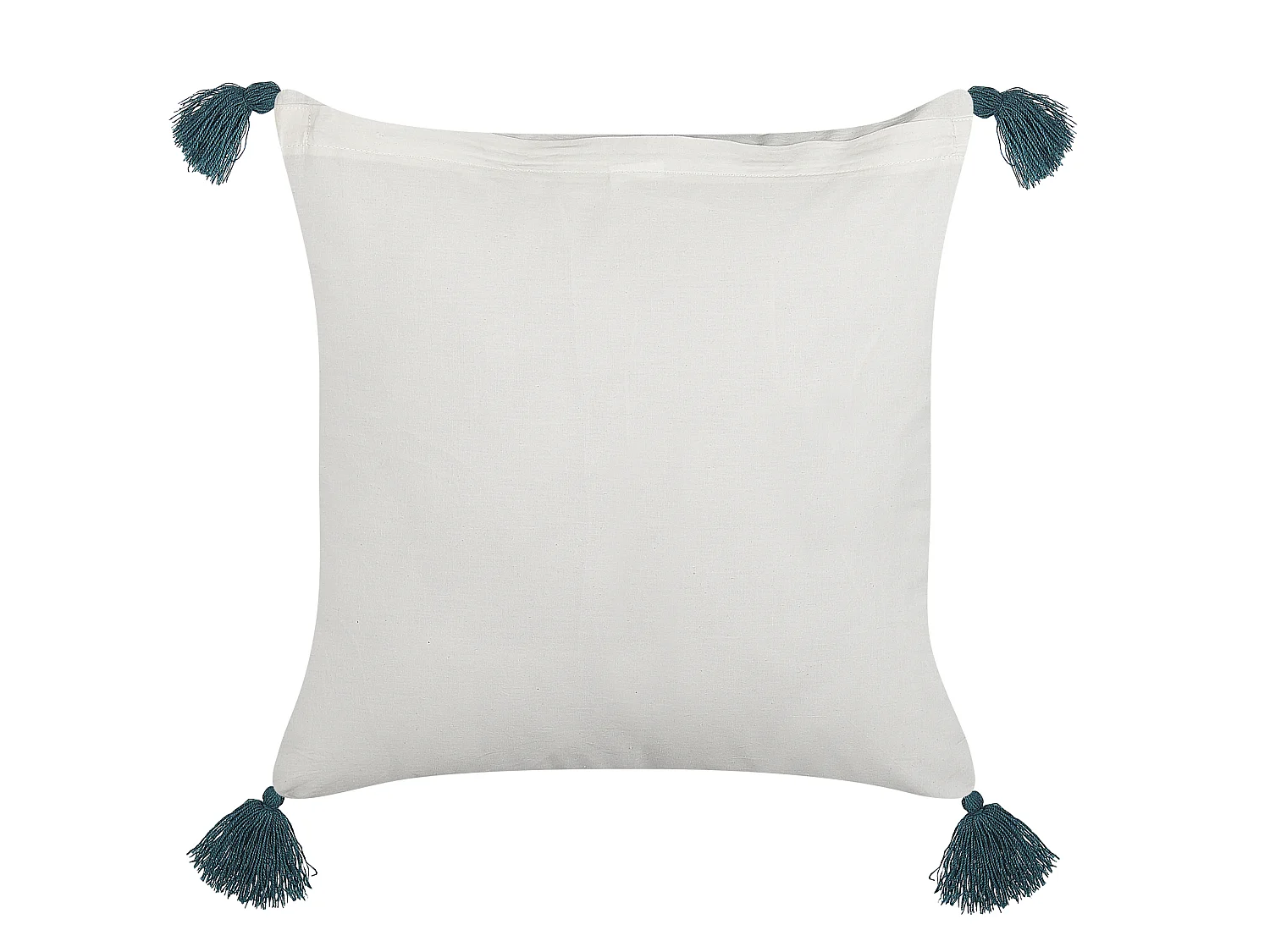 Lot de 2 coussins décoratifs RUMEX Coton 45 x 45 cm Bleu Motif floral