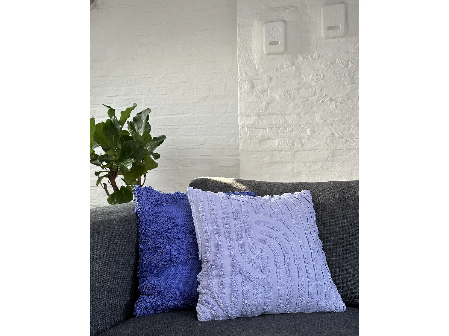 Cuscino cotone viola 45 x 45 cm RHOEO