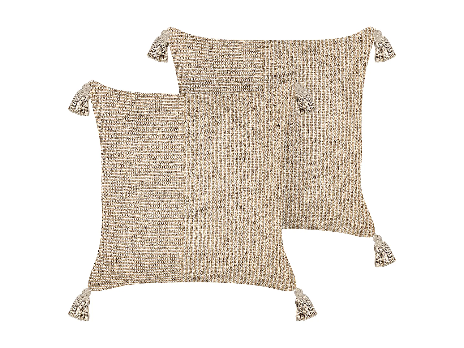 Lot de 2 coussins décoratifs ARALIA Coton 45 x 45 cm Beige Motif géométrique