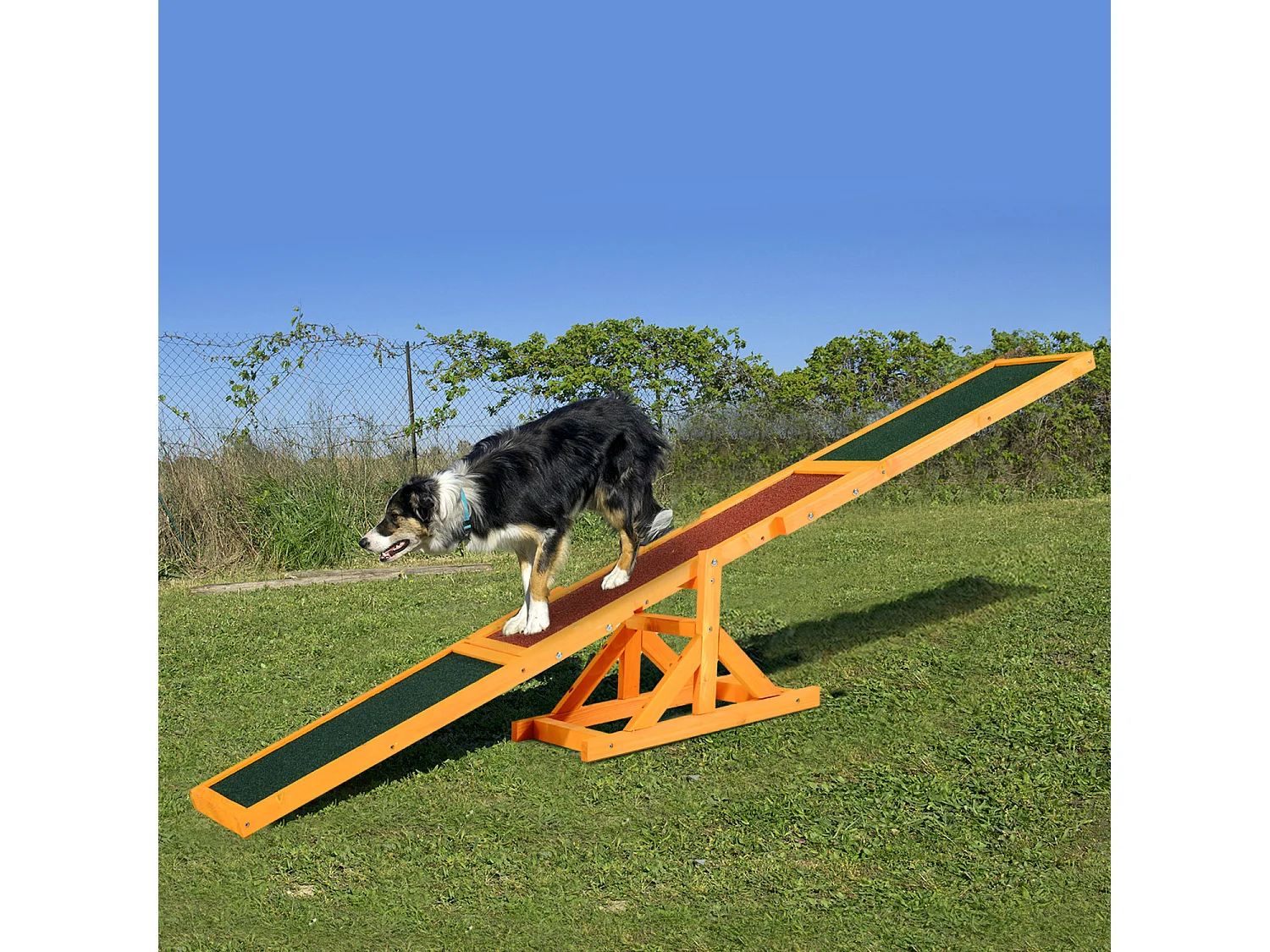 Agility sport pour chien bascule - bascule pour chien - équipement entrainement chien - bois sapin pré-huilé feutre bitumé antidérapant brique vert