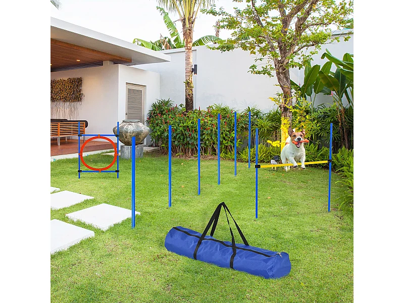 Agility sport pour chiens équipement complet : 6 poteaux slalom, obstacle, anneau + sac de transport bleu jaune rouge