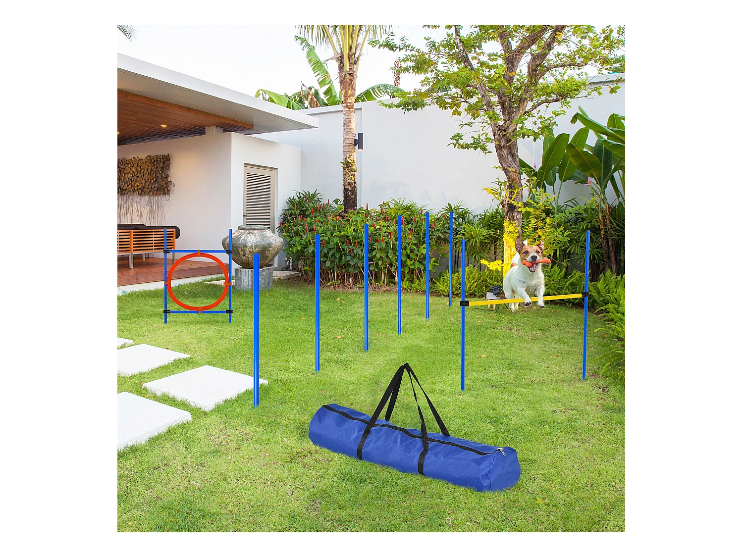 Agility sport pour chiens équipement complet : 6 poteaux slalom, obstacle, anneau + sac de transport bleu jaune rouge