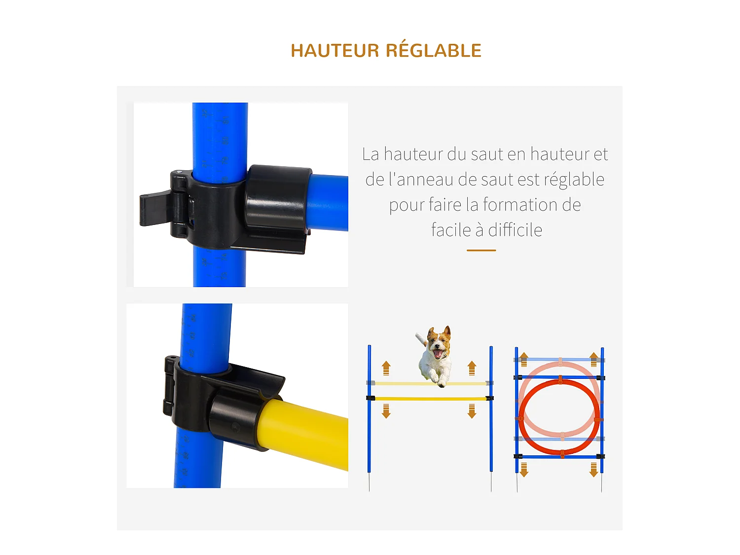 Agility sport pour chiens équipement complet : 6 poteaux slalom, obstacle, anneau + sac de transport bleu jaune rouge