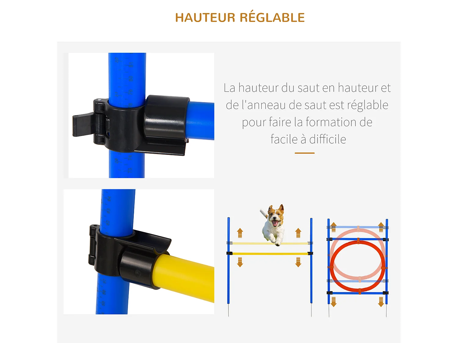 Agility sport pour chiens équipement complet : 6 poteaux slalom, obstacle, anneau + sac de transport bleu jaune rouge