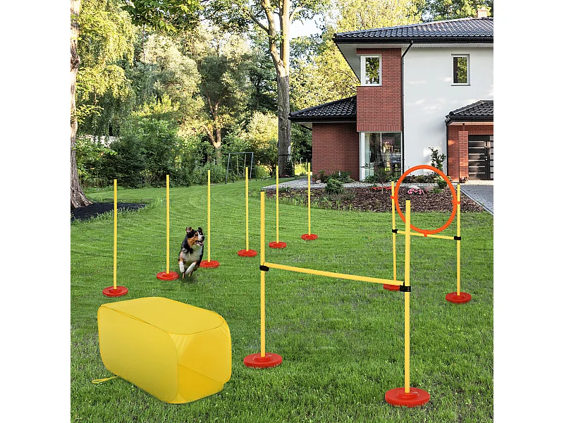 Agility sport pour chiens équipement complet haies, slalom, tunnel + sac de transport jaune