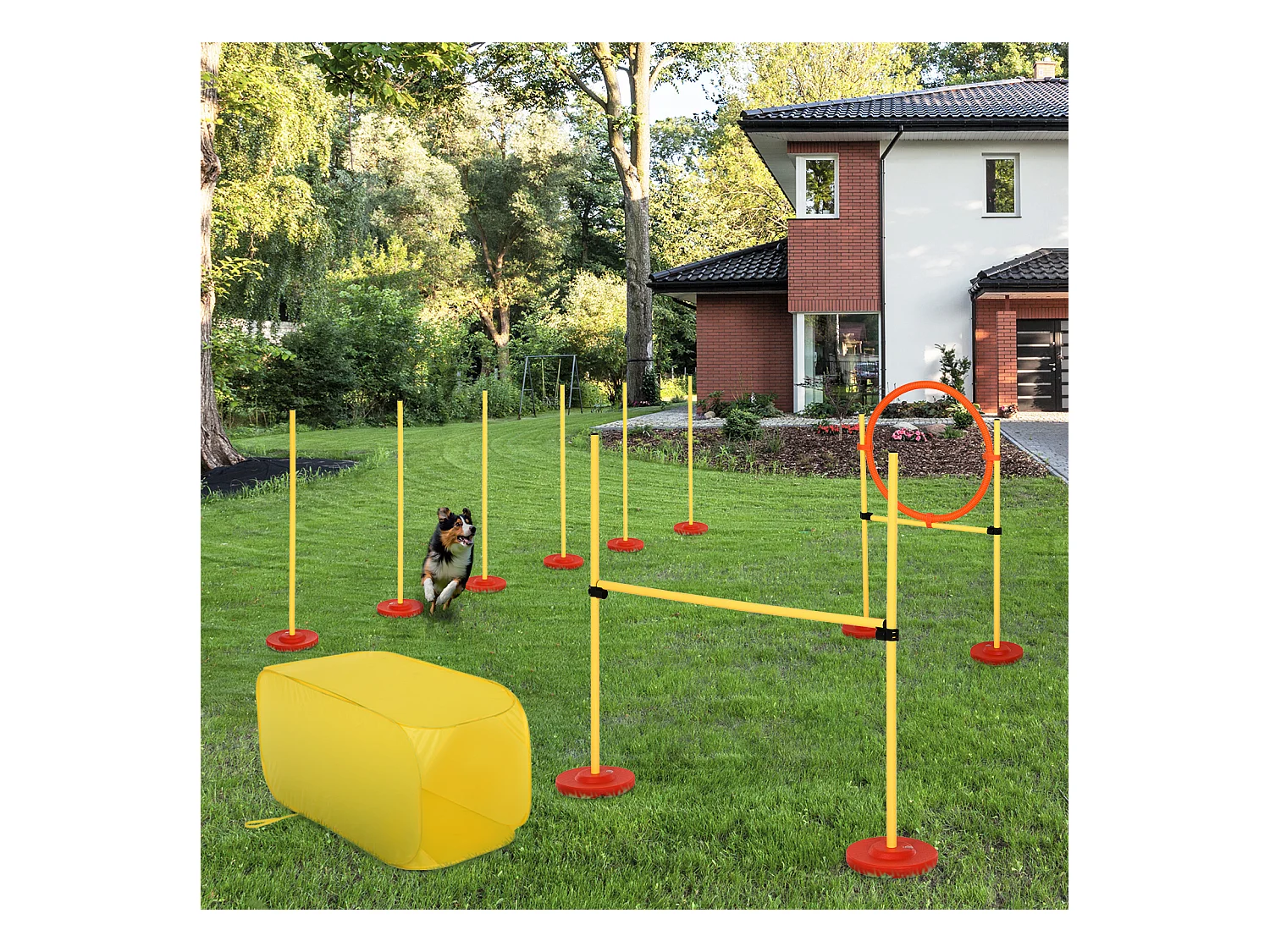 Agility sport pour chiens équipement complet haies, slalom, tunnel + sac de transport jaune