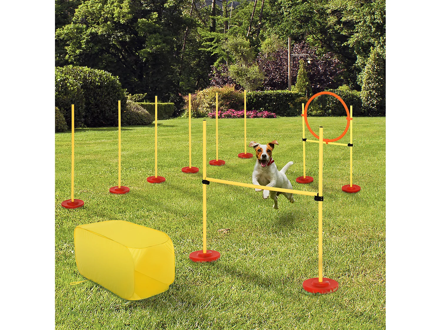 Agility sport pour chiens équipement complet haies, slalom, tunnel + sac de transport jaune