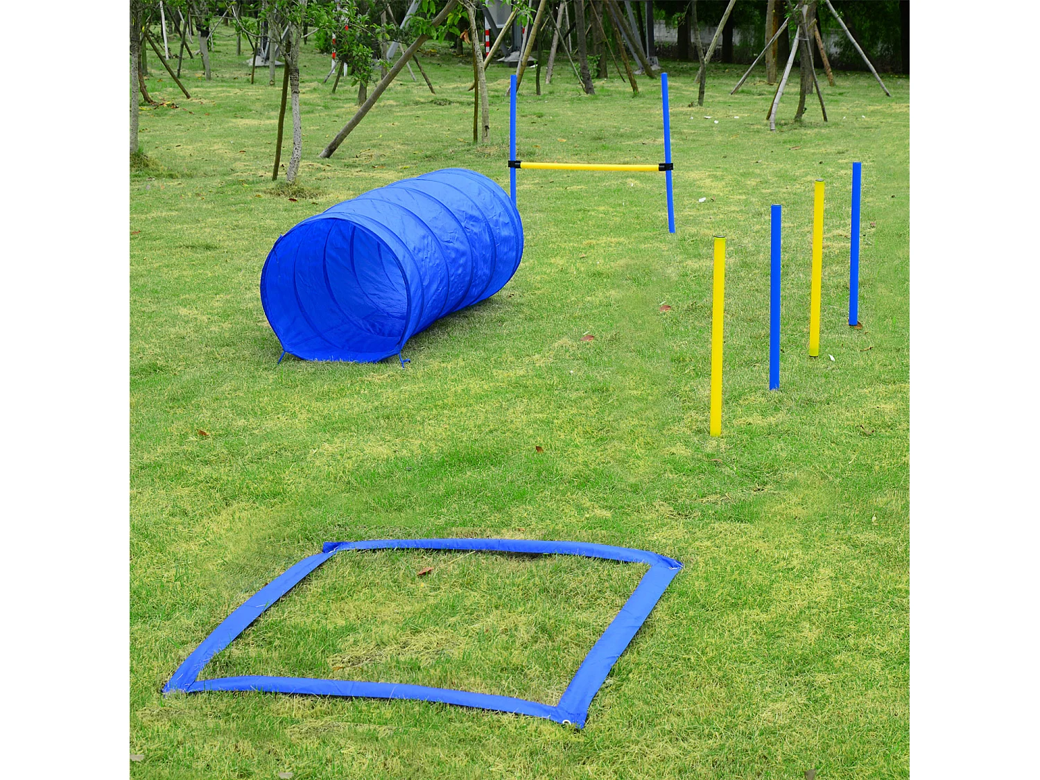 Agility sport pour chiens équipement complet obstacles, tunnel, slalom, zone repos + 2 sacs de transport bleu jaune