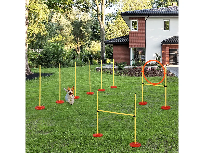 Agility sport pour chiens équipement complet haies, slalom + sac de transport jaune