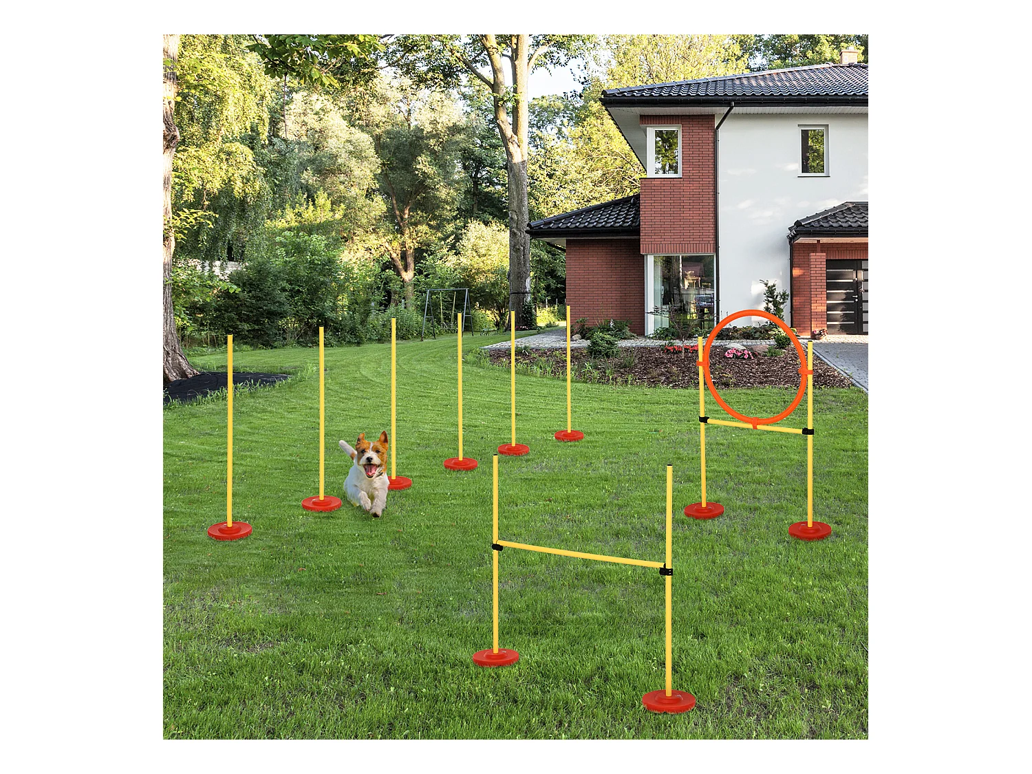 Agility sport pour chiens équipement complet haies, slalom + sac de transport jaune