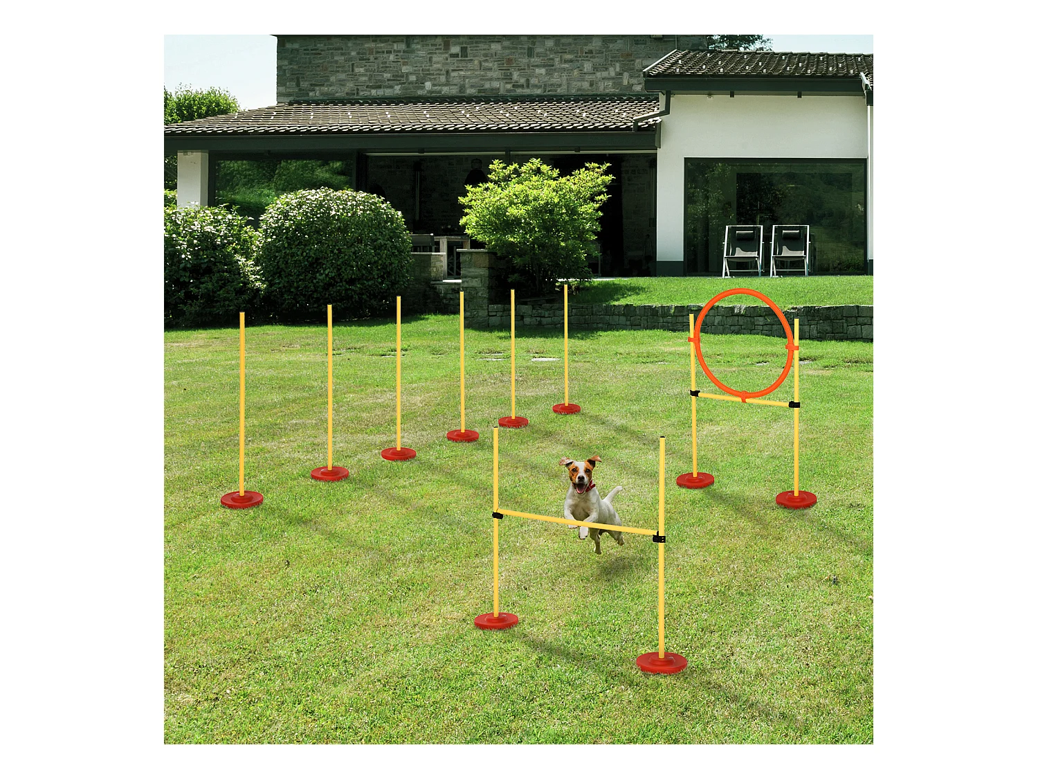 Agility sport pour chiens équipement complet haies, slalom + sac de transport jaune
