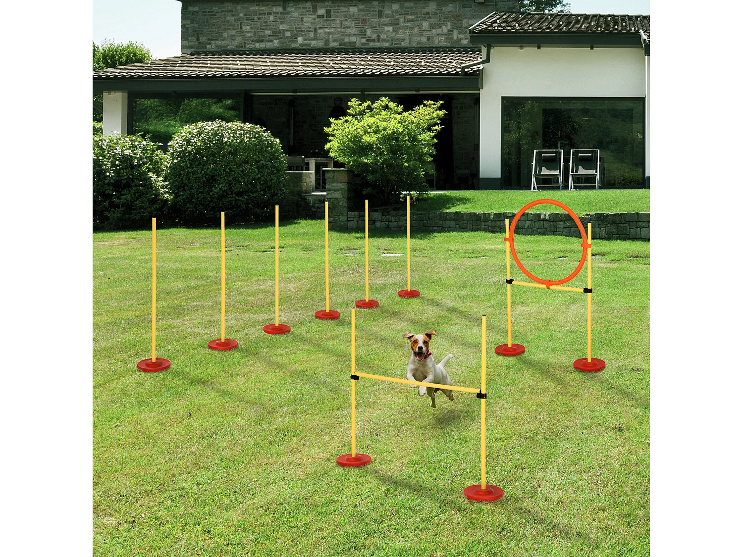Agility sport pour chiens équipement complet haies, slalom + sac de transport jaune