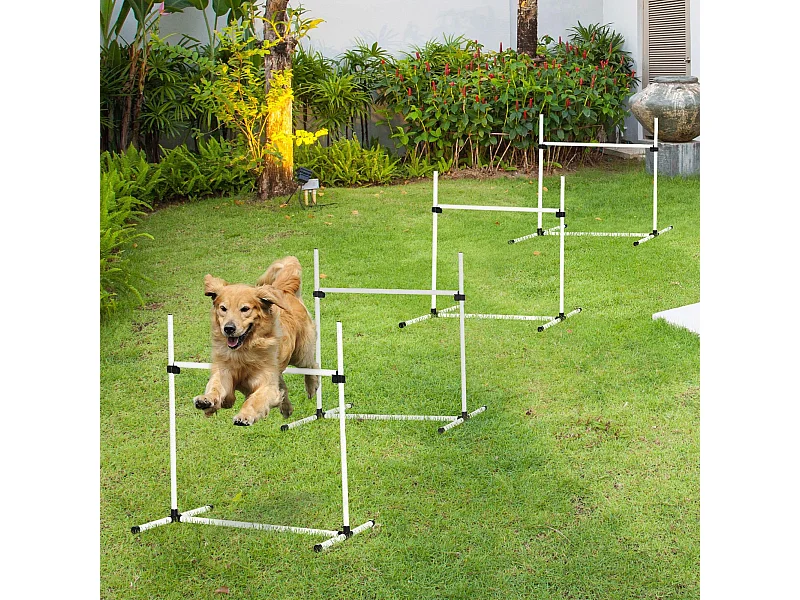 Agility sport pour chiens set de 4 obstacles professionnels avec système de maintien au sol sac transport fourni blanc noir