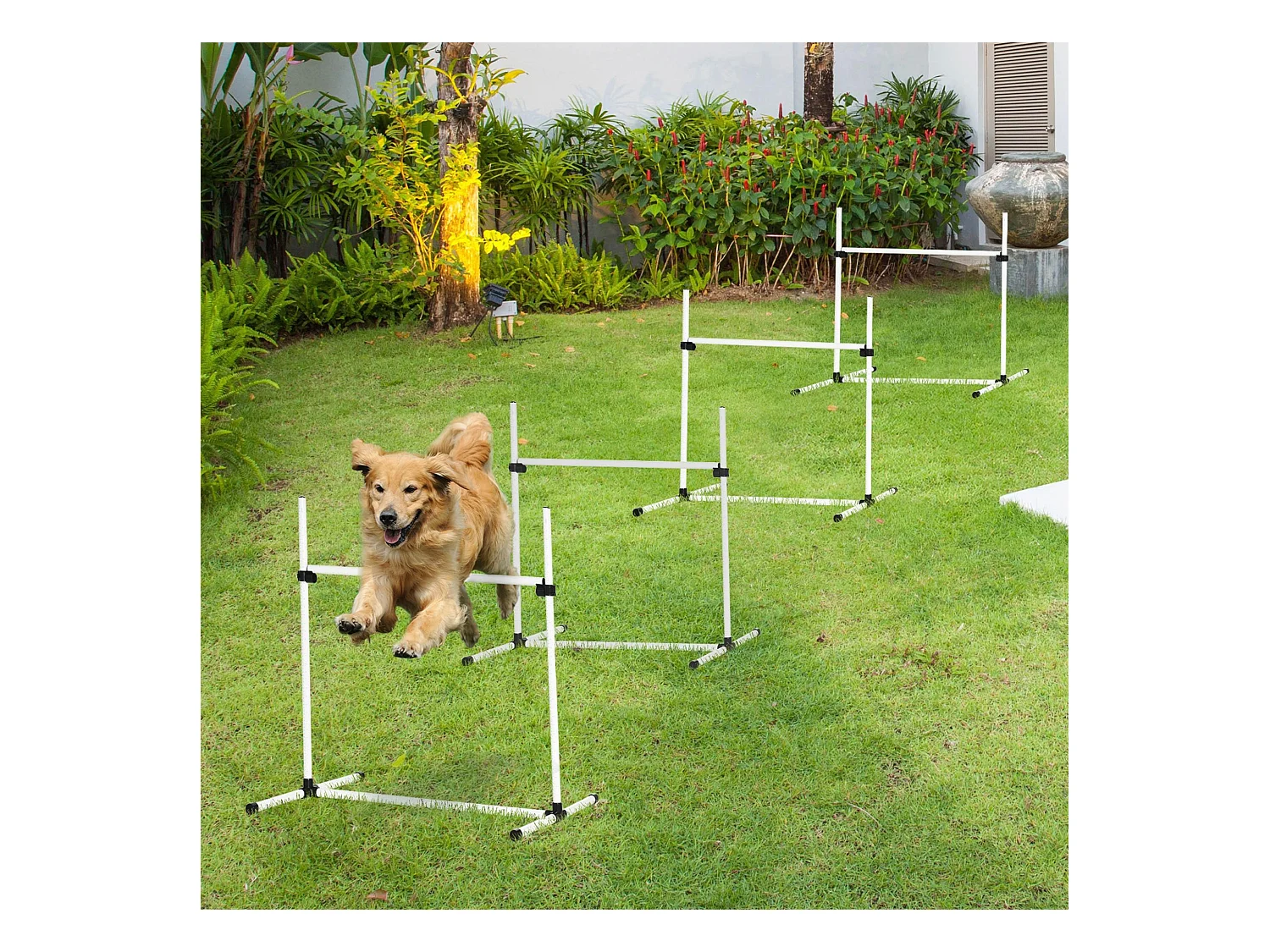 Agility sport pour chiens set de 4 obstacles professionnels avec système de maintien au sol sac transport fourni blanc noir