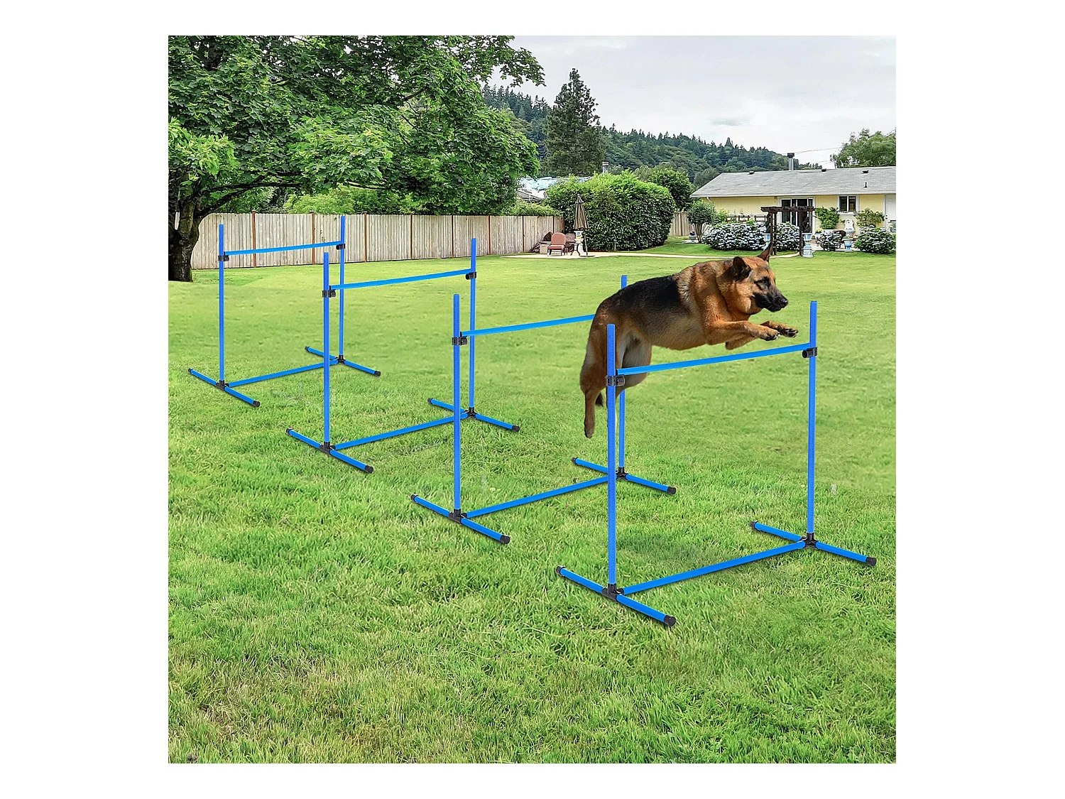 Agility sport pour chiens set de 4 obstacles professionnels avec système de maintien au sol sac transport fourni bleu noir