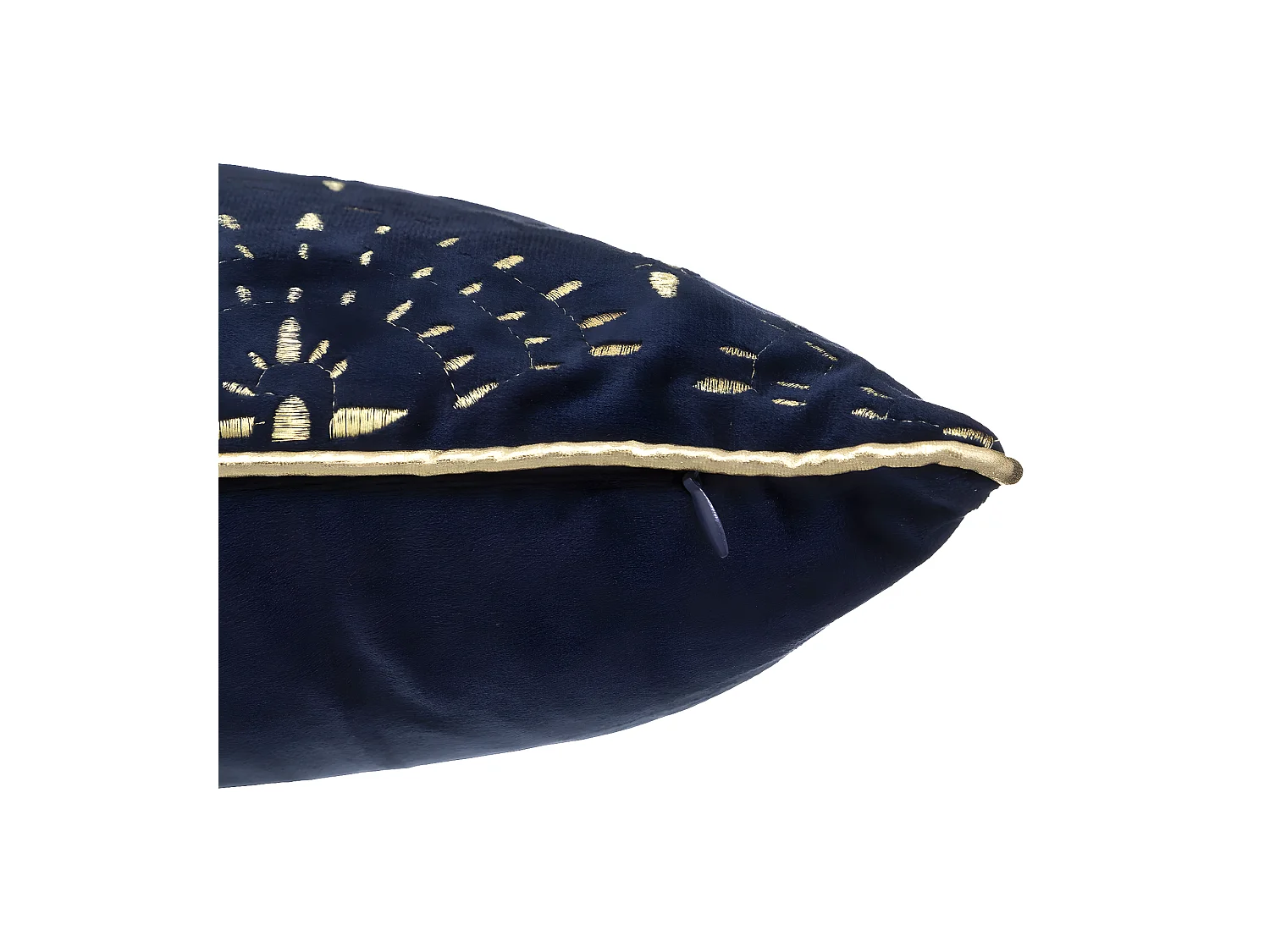 Coussin décoratif en Velours motifs brodés 30 x 50 cm