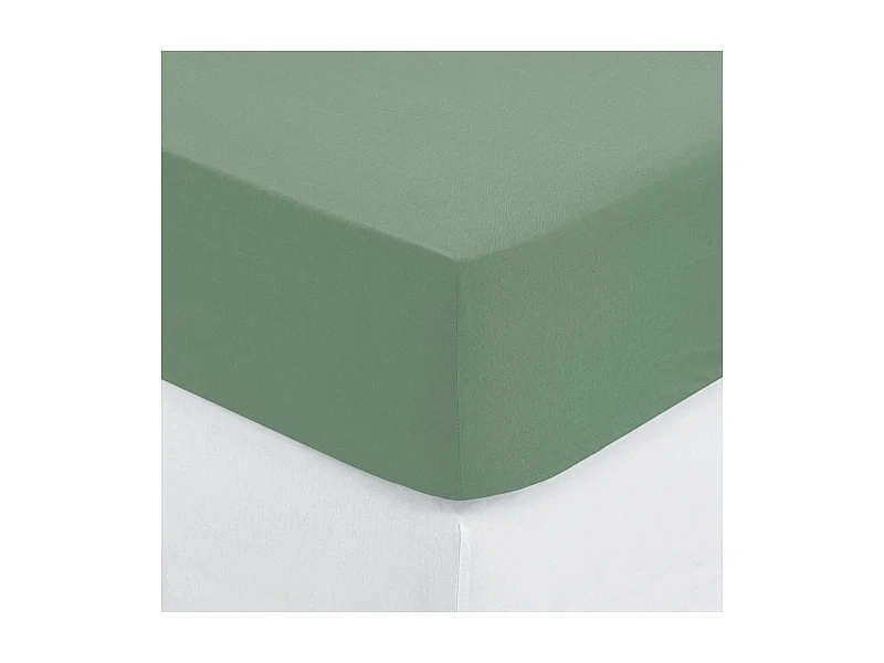 Drap housse 2 Personnes en Coton Vert céladon 140 x 190 cm