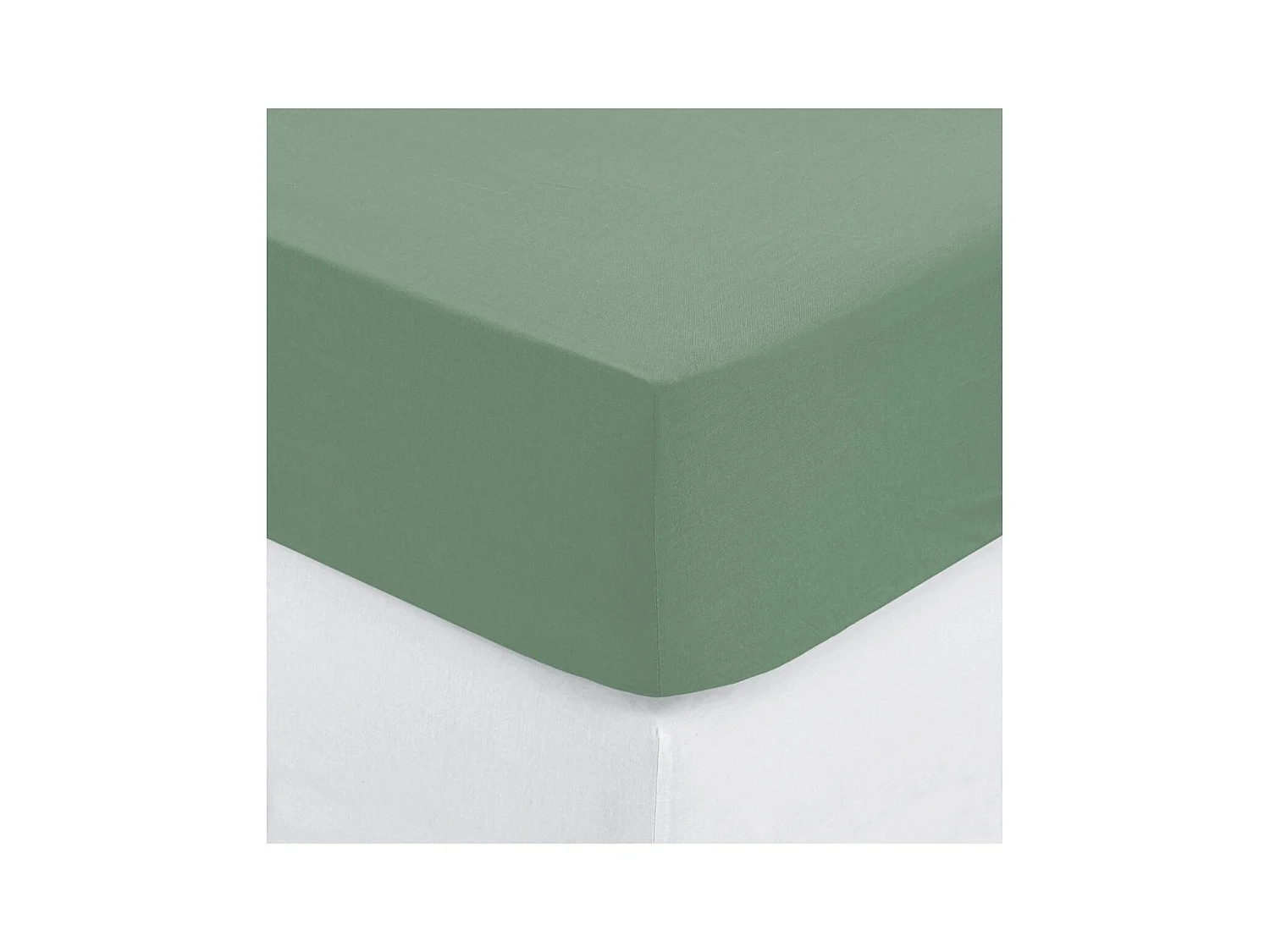 Drap housse 2 Personnes en Coton Vert céladon 140 x 190 cm