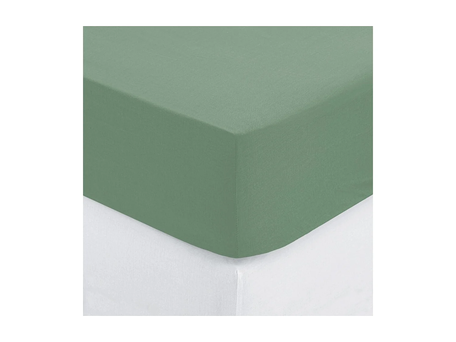 Drap housse 2 Personnes en Coton Vert céladon 140 x 190 cm