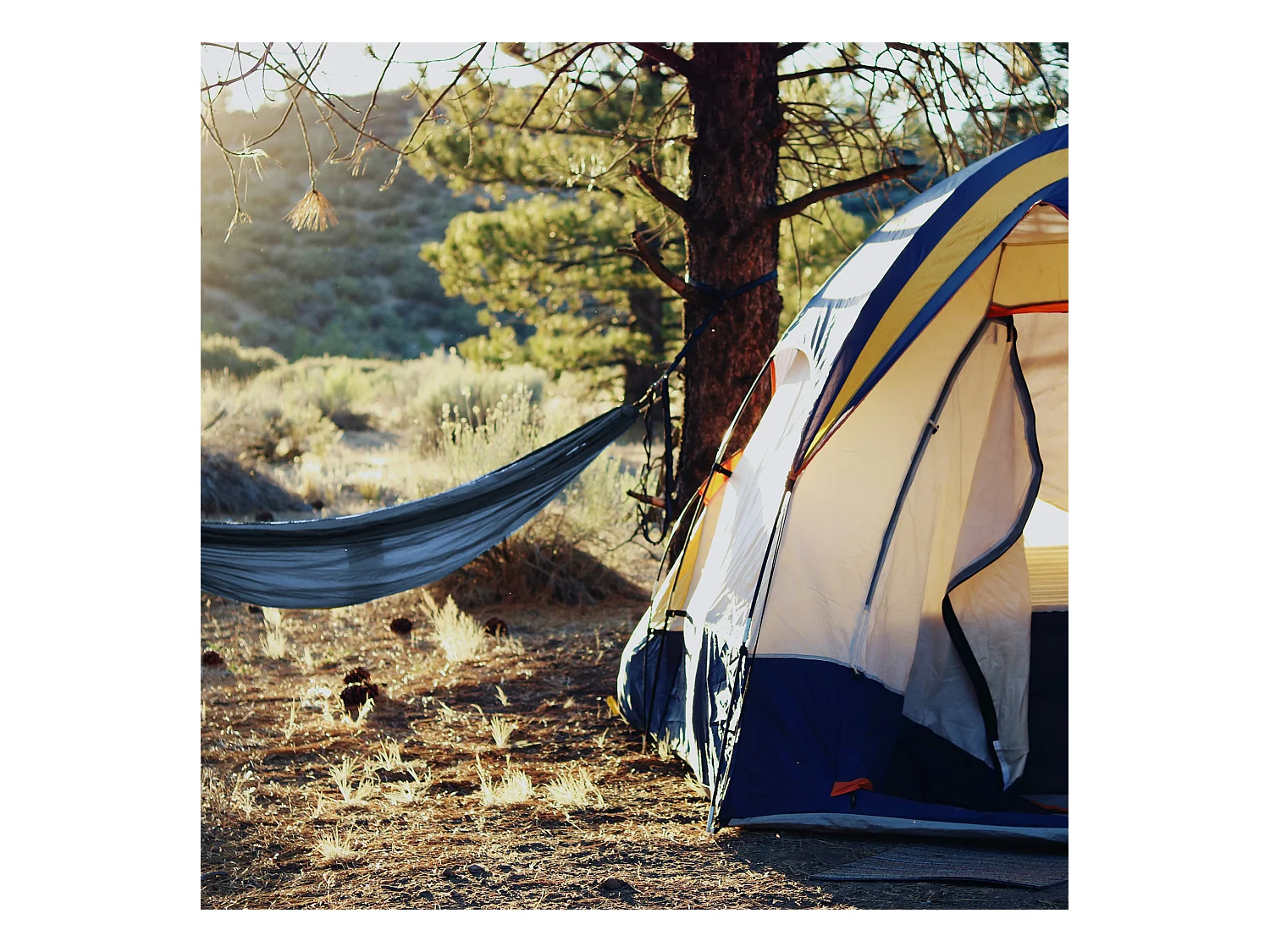 Rede de Jardim Campismo duplo de jardim Azul Policlotão com caixa 200 kg