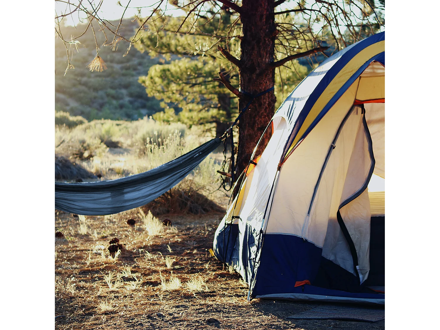 Rede de Jardim Campismo duplo de jardim Azul Policlotão com caixa 200 kg