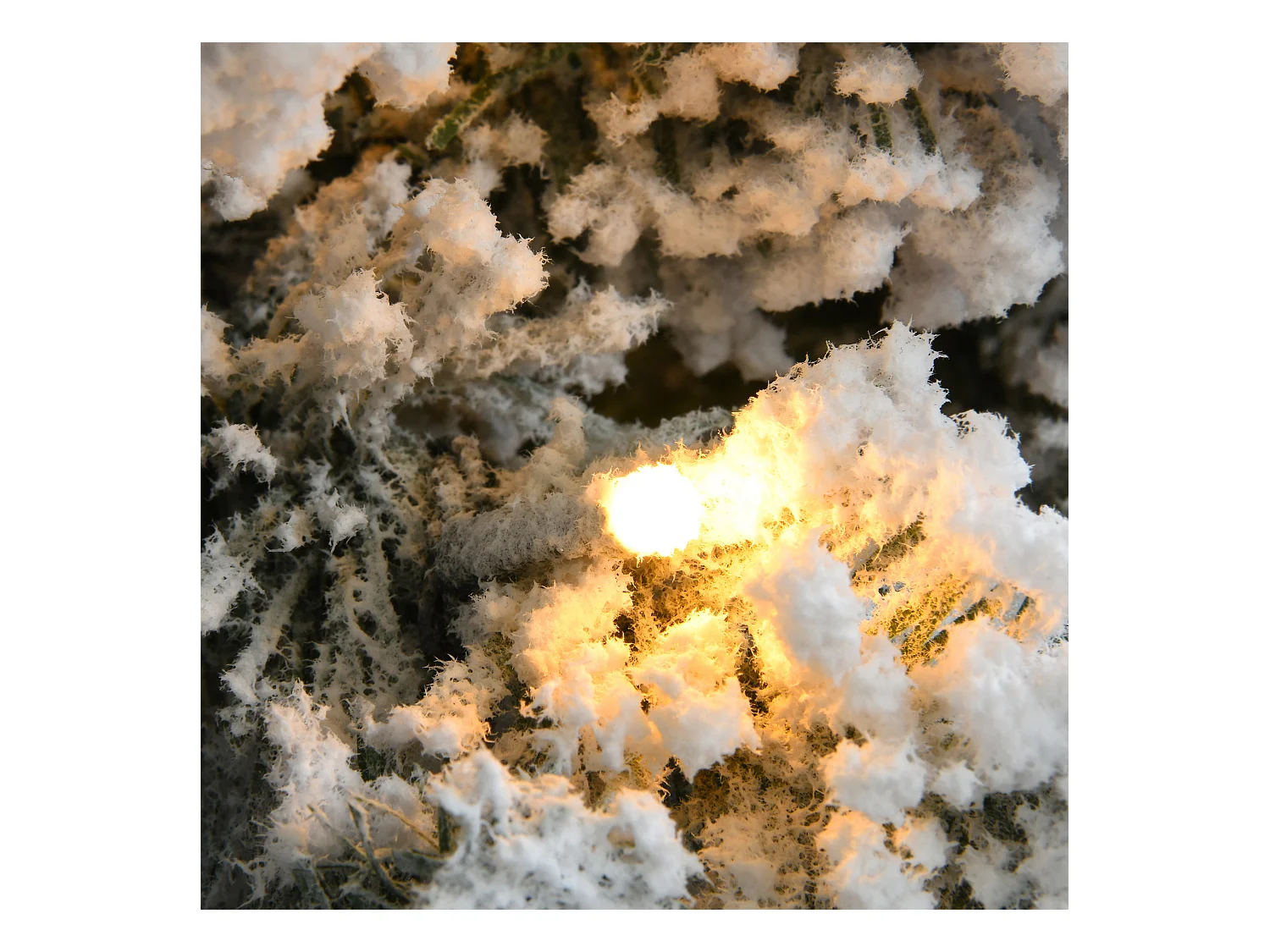 Sapin de Noël blanc 210 cm 1000 branches épaisses 400 lumières LED